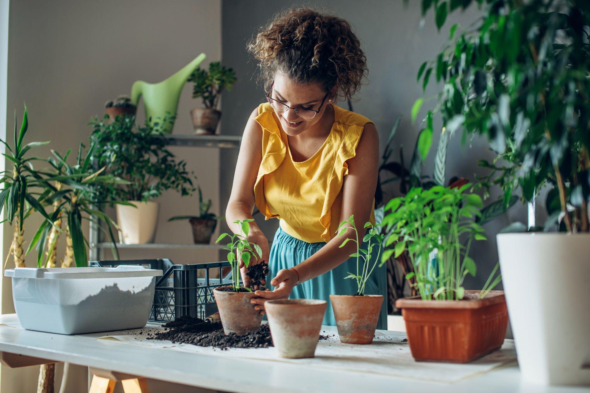 Young woman planting plants.